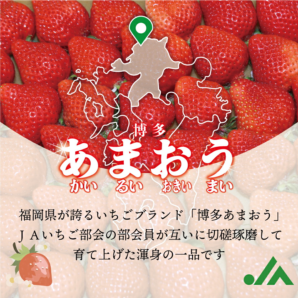 福岡県産冷凍あまおう800g (800g×1袋) [M1001]