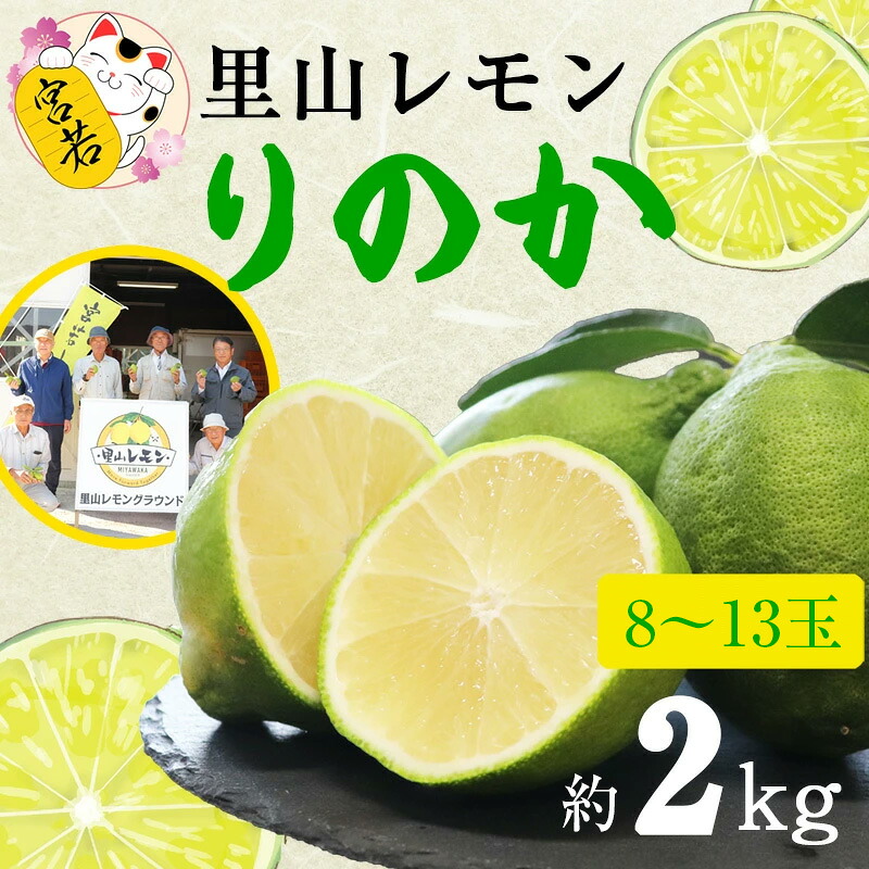 〈里山レモンの会〉宮若市特産品 レモン 約2kg「りのか」 [M568]