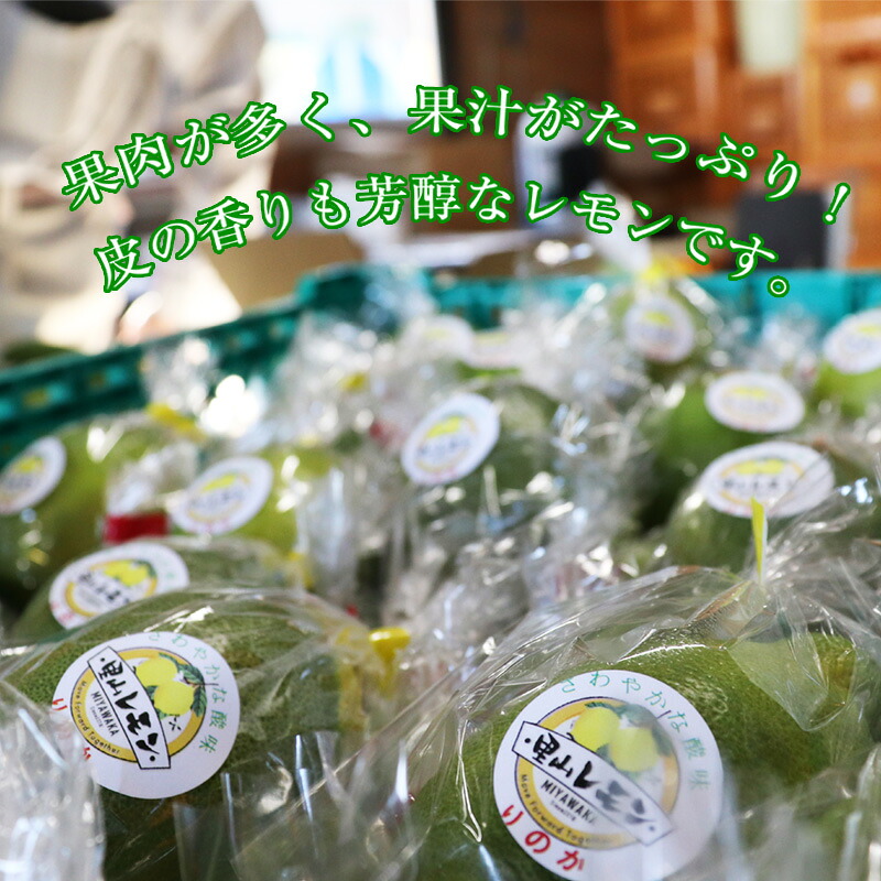 〈里山レモンの会〉宮若市特産品 レモン 約2kg「りのか」 [M568]