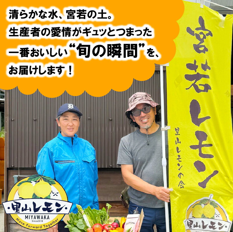 宮若産 旬の野菜詰め合わせ詰め合わせ 4～6種セット [M1017] 季節 野菜 果物 詰め合わせ 九州 福岡 宮若市 ふるさと納税 おすすめ