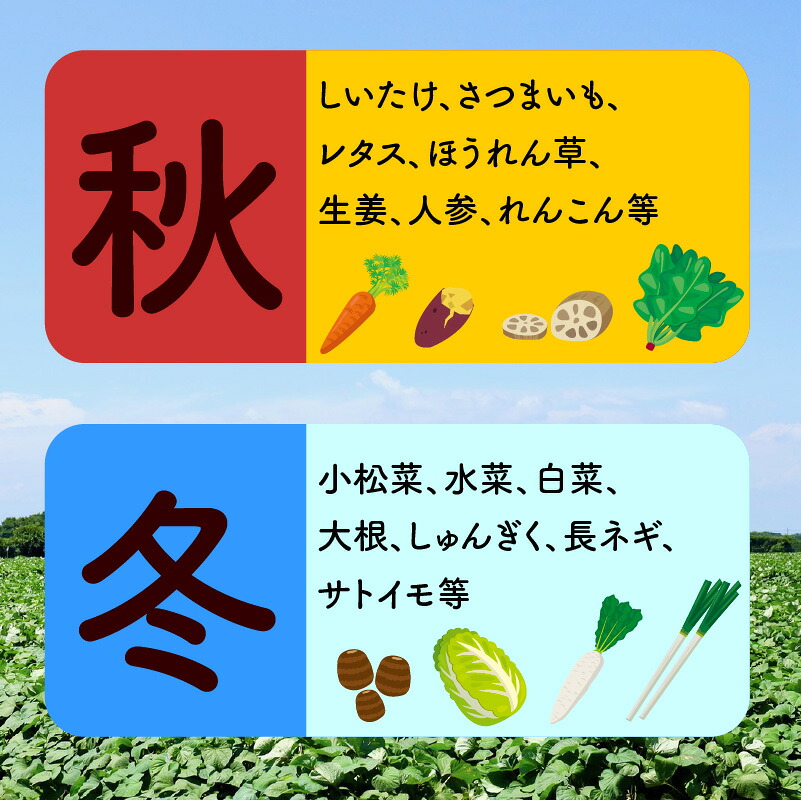 宮若産 旬の野菜詰め合わせ詰め合わせ 4～6種セット [M1017] 季節 野菜 果物 詰め合わせ 九州 福岡 宮若市 ふるさと納税 おすすめ