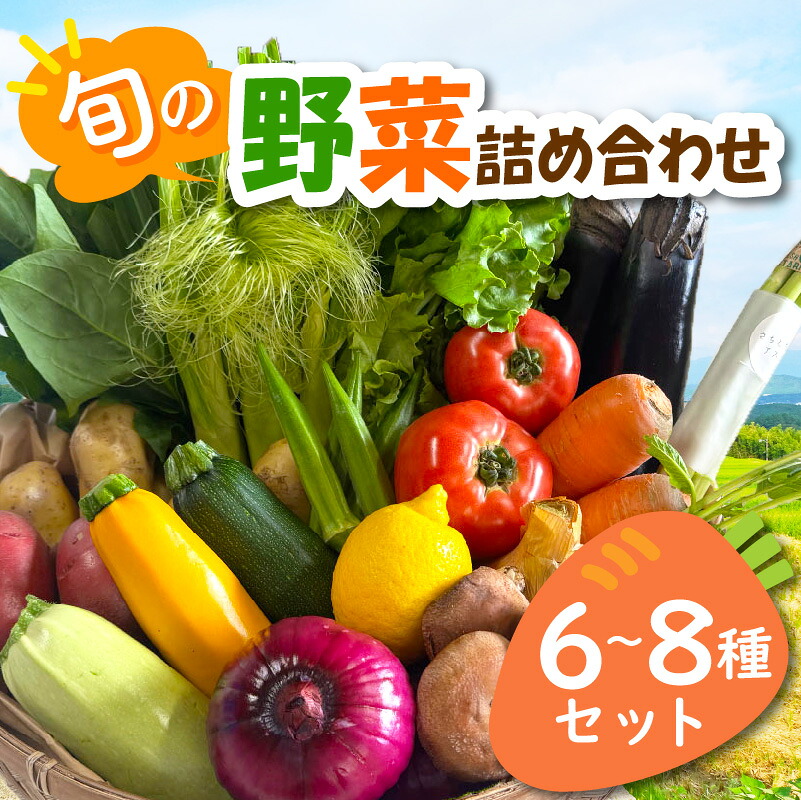 宮若産 旬の野菜詰め合わせ詰め合わせ 6～8種セット [M1018] 季節 野菜 果物 詰め合わせ 九州 福岡 宮若市 ふるさと納税 おすすめ