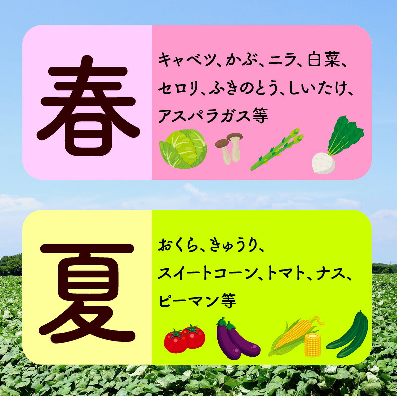 宮若産 旬の野菜詰め合わせ詰め合わせ 6～8種セット [M1018] 季節 野菜 果物 詰め合わせ 九州 福岡 宮若市 ふるさと納税 おすすめ