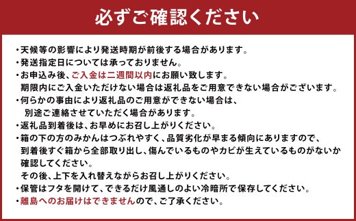 A2 山川 みかん 4kg マイルド130 数量限定 蜜柑 山川みかん ミカン 厳選 【2026年11月上旬~12月上旬迄順次発送予定】