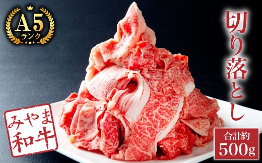 A57 切り落とし 約500g