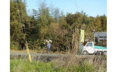 A33 ふるさとの家管理サービス 草刈又は除草2時間相当