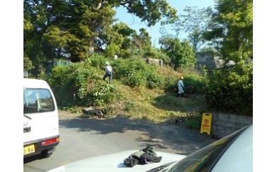 B40 ふるさとの家管理サービス 草刈又は除草4時間相当
