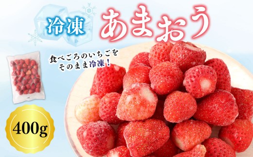 A192 冷凍あまおう 合計 1袋