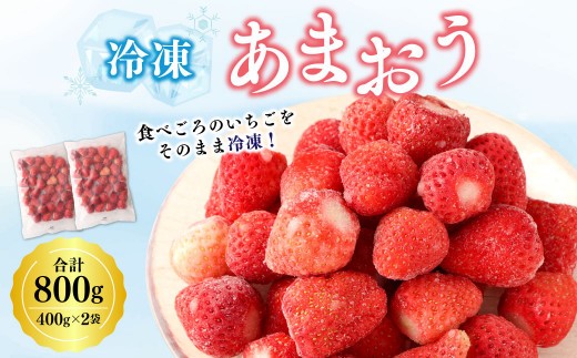 A193 冷凍あまおう×2袋 合計 2袋