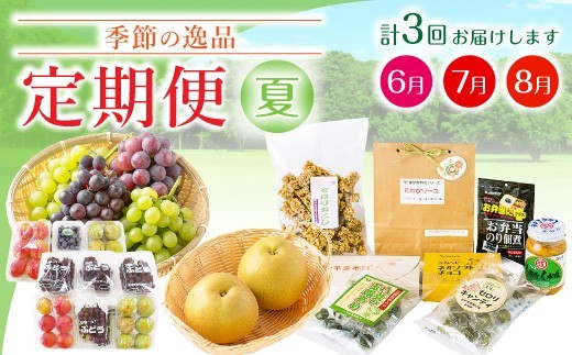 C2 季節の逸品 夏 定期 フルーツ 詰め合わせ