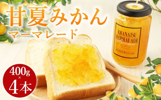 A82 甘夏みかん マーマレード 400g×4本