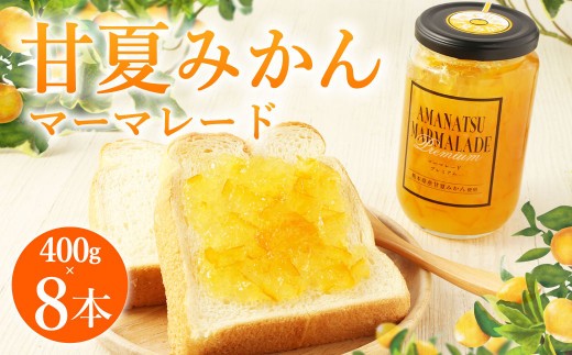 B22 甘夏みかん マーマレード 400g×8本