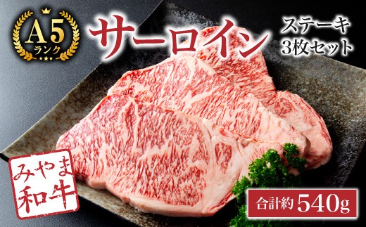 C13 サーロインステーキ3枚セット 合計約540g