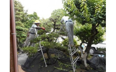D3 ふるさとの家管理サービス 草刈又は除草9時間相当
