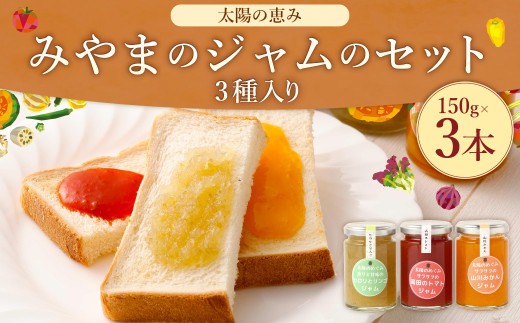 A306 太陽の恵み みやまのジャムのセット 3本入