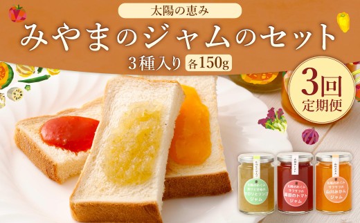 B54 太陽の恵み みやまのジャムのセット 3本入