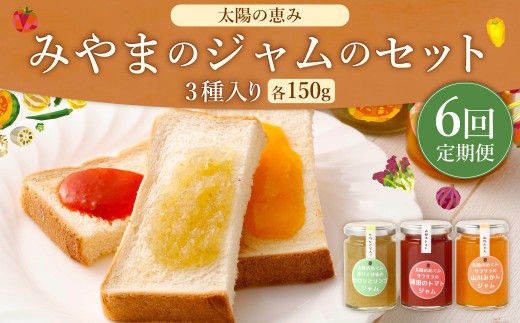 D18 太陽の恵み みやまのジャムのセット 3本入