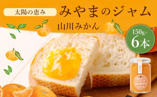 A307 太陽の恵み みやまのジャム 山川みかん6本入