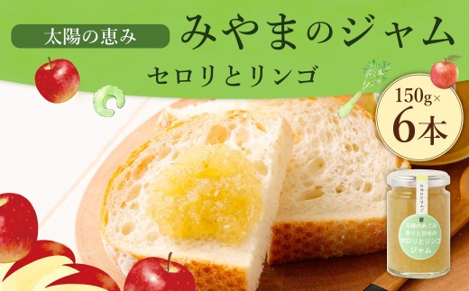 A309 太陽の恵み みやまのジャム セロリとリンゴ 6本入