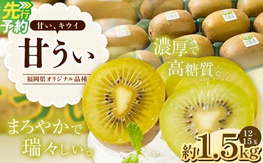 A199 福岡県産 ブランドキウイ・甘うぃ 約1.5kg(12~15玉) 【2025年10月下旬~12月上旬発送予定】 キウイ 果物 くだもの フルーツ
