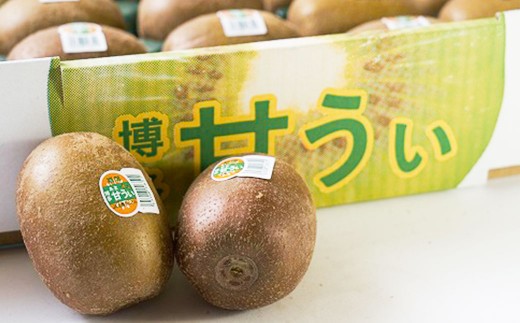 A199 福岡県産 ブランドキウイ・甘うぃ 約1.5kg(12~15玉) 【2025年10月下旬~12月上旬発送予定】 キウイ 果物 くだもの フルーツ