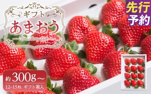 A160 【ギフト】 あまおう 12～15粒 いちご 【2025年12月上旬～2026年3月下旬発送予定】