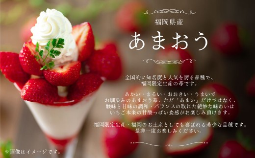 A160 【ギフト】 あまおう 12～15粒 いちご 【2025年12月上旬～2026年3月下旬発送予定】