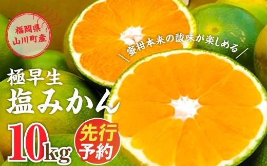 A156 福岡県山川産 極早生 塩みかん(緑) 10kg 【2025年9月下旬~10月下旬発送予定】 早採り 蜜柑