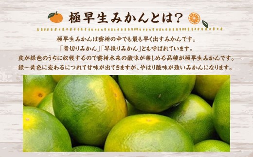 A156 福岡県山川産 極早生 塩みかん(緑) 10kg 【2025年9月下旬~10月下旬発送予定】 早採り 蜜柑