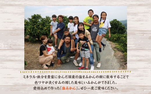 A156 福岡県山川産 極早生 塩みかん(緑) 10kg 【2025年9月下旬~10月下旬発送予定】 早採り 蜜柑