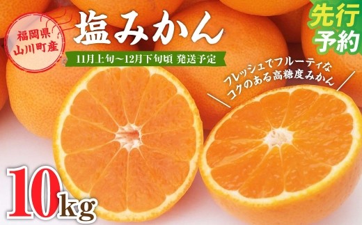 A158 福岡県山川産 塩みかん 10kg 【2025年11月上旬～12月下旬発送予定】 蜜柑 花藻塩