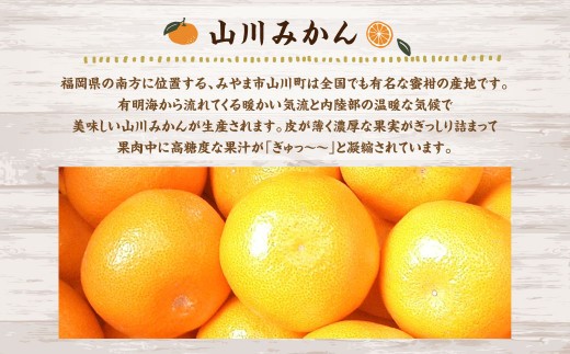 A158 福岡県山川産 塩みかん 10kg 【2025年11月上旬～12月下旬発送予定】 蜜柑 花藻塩