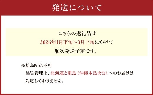 A1 あまおう いちご 4パック（約270g×4パック　計約1,080g）【2026年1月下旬～3月上旬迄順次発送予定】  苺 フルーツ 果物 くだもの 福岡県