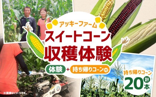 F5 アッキーファーム スイートコーン収穫体験