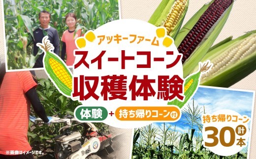 F6 アッキーファーム スイートコーン収穫体験