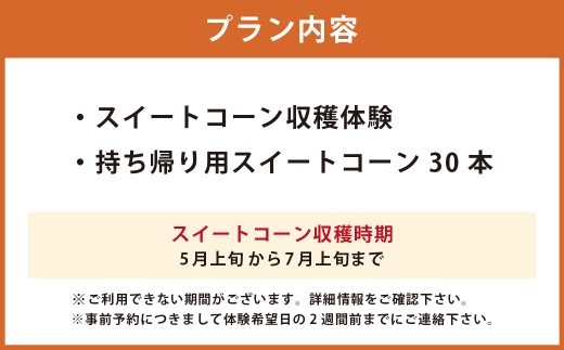 F6 アッキーファーム スイートコーン収穫体験 （スイートコーン30本込み） とうもろこし トウモロコシ 野菜 やさい 農作物 農業 体験 チケット 商品券 施設利用券 福岡県産 国産 福岡県 みやま