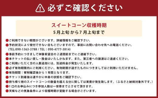 F6 アッキーファーム スイートコーン収穫体験 （スイートコーン30本込み） とうもろこし トウモロコシ 野菜 やさい 農作物 農業 体験 チケット 商品券 施設利用券 福岡県産 国産 福岡県 みやま