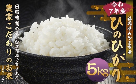 A325 【令和7年産】アッキーファームのお米「ひのひかり」 5kg 白米 ヒノヒカリ お米 こめ 精米 単一原料米 ごはん ご飯 福岡県産 国産 福岡県 みやま市 常温 【2026年7月下旬まで発送