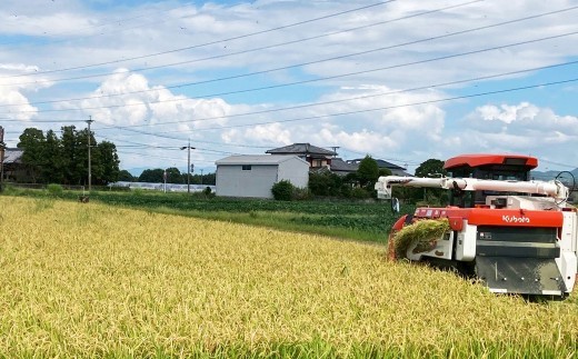 A325 【令和7年産】アッキーファームのお米「ひのひかり」 5kg 白米 ヒノヒカリ お米 こめ 精米 単一原料米 ごはん ご飯 福岡県産 国産 福岡県 みやま市 常温 【2026年7月下旬まで発送