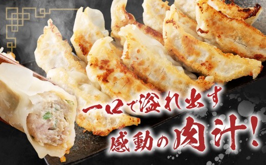 A327 驚愕の肉80%使用! 肉ニクホルモン餃子 1パック25個入り 680g×3パック (合計75個) 冷凍餃子 餃子 惣菜 弁当 おかず 小分け 冷凍 福岡県 みやま市