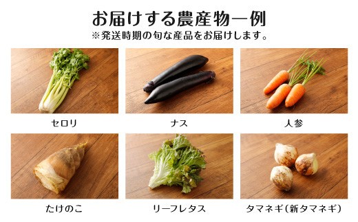 A7 旬の農産物セット