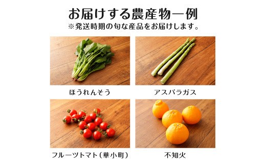 A7 旬の農産物セット
