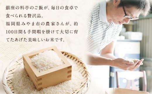 C19　【定期便3回】 福岡県産 白米 10kg ×1袋 銀座の料亭ご愛用のお米