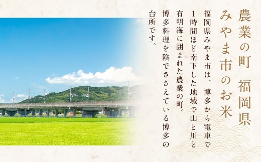 C19　【定期便3回】 福岡県産 白米 10kg ×1袋 銀座の料亭ご愛用のお米