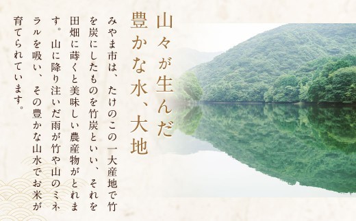 C19　【定期便3回】 福岡県産 白米 10kg ×1袋 銀座の料亭ご愛用のお米