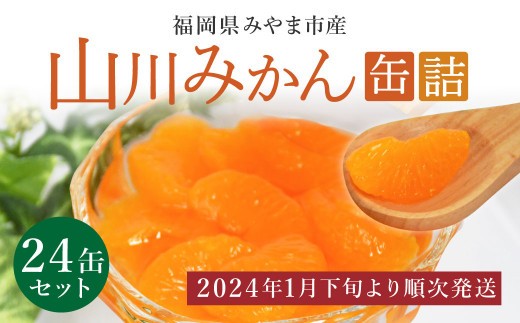 A4 【2024年1月下旬から順次発送】 山川みかん缶詰