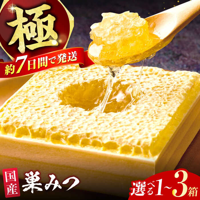 極巣みつ 310g