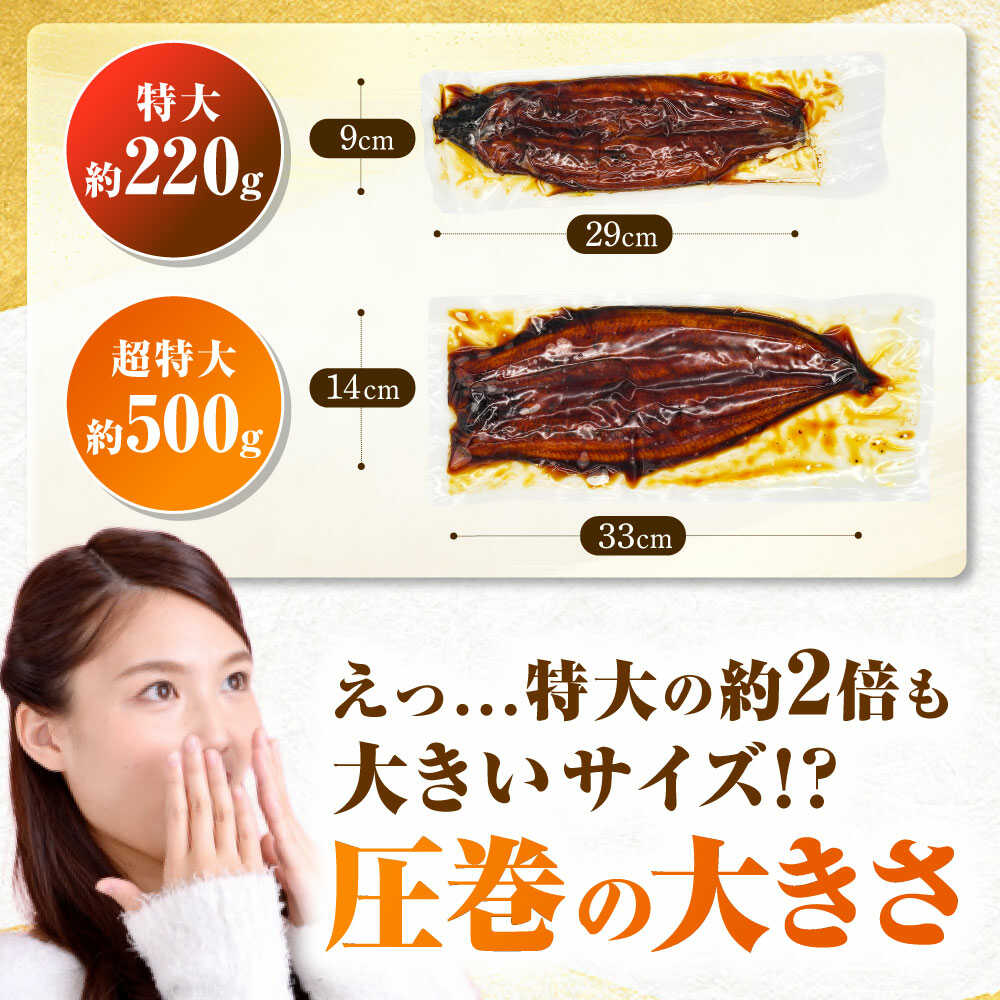 うなぎ蒲焼 1尾約500g 超特大×1尾～4尾 鰻 うな重 ひつまぶし　広川町 / 株式会社イールファクトリー[AFBS031]