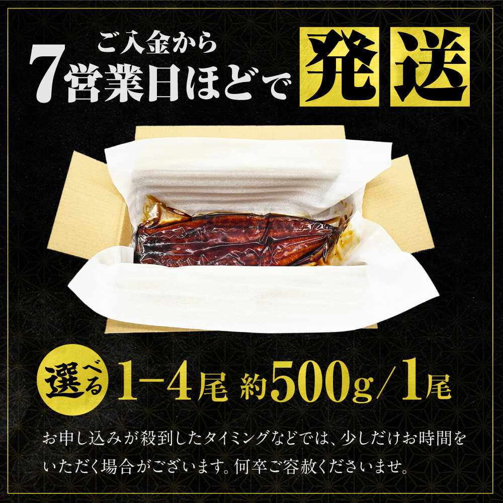 うなぎ蒲焼 1尾約500g 超特大×1尾～4尾 鰻 うな重 ひつまぶし　広川町 / 株式会社イールファクトリー[AFBS031]
