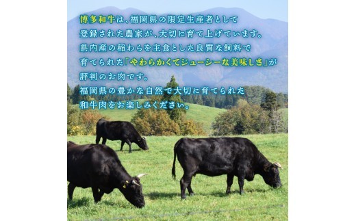 A4ランク 博多和牛 切り落とし モモ バラ ミックス 1kg 和牛 ブランド和牛 ブランド 国産 お肉 冷凍 福岡県 川崎町